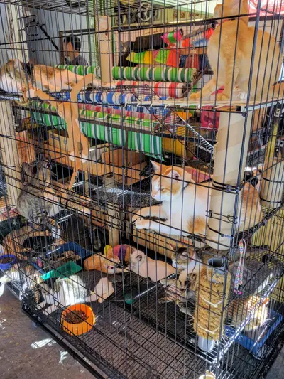 V Go Tools & Hardware Trading in Kuala Lumpur, photo 5